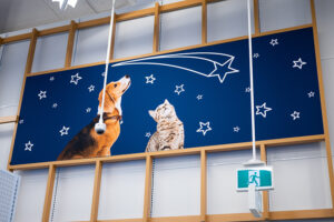 A large blue mural features a beagle and tabby cat looking up at white stars and a shooting star.