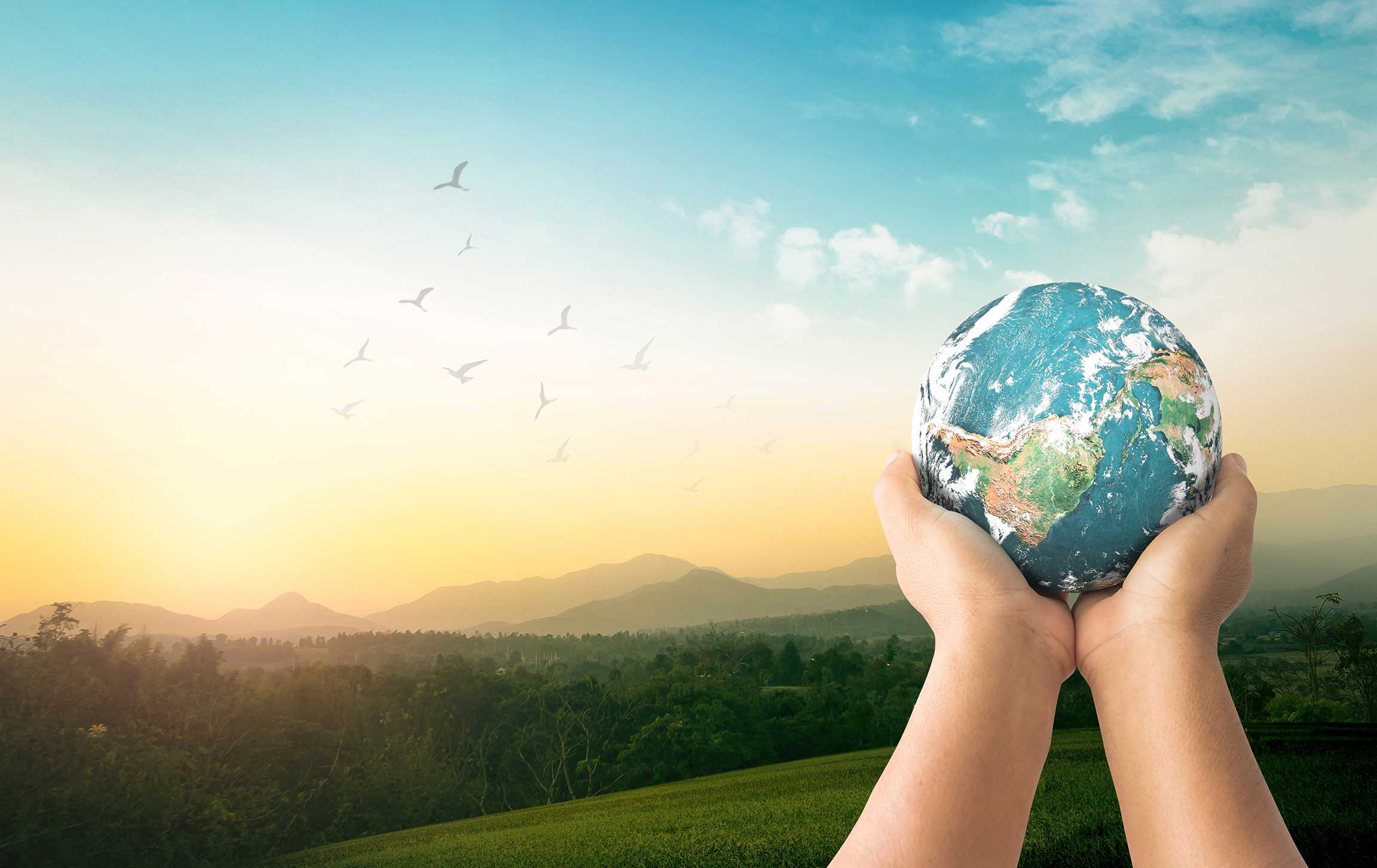 A pair of hands gently cradles the Earth above a lush landscape with mountains and trees under a gradient sky with flying birds.